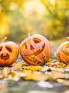 pumpkin-6720424_1280